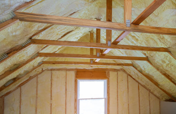 Best Commercial Insulation in Murphy, TX