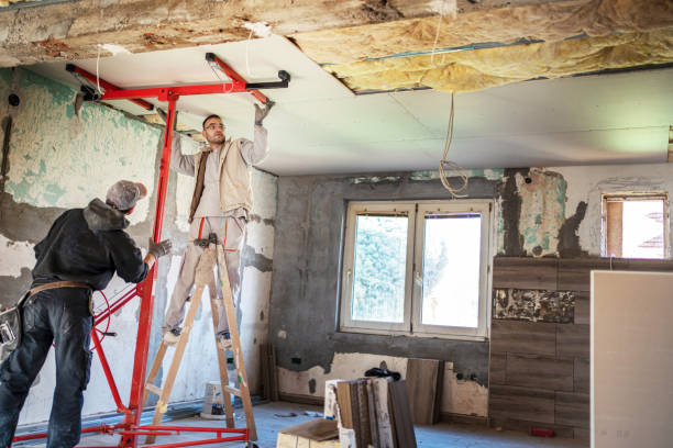 Best Residential Insulation in Murphy, TX